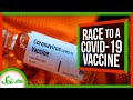 Accelerated Vaccine Development Concepts
