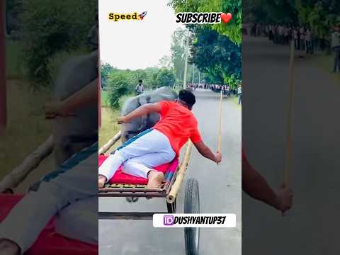 Mohit Manakchok jhota race #jhotaracenew #dushyantup37 #jhota #jhotarace #viralvideo #farming