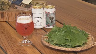 農家の挑戦「大葉ビール」作り 猛暑による高温障害…暑さ乗り切る“秘策”で地ビール醸造所とタッグ！