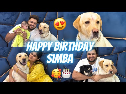 Celebrating Simba’s 4th Birthday 🥳 HAPPY BIRTHDAY SIMBA😍