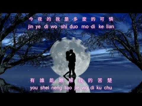 Wo Hai Shi Yong Yuan Di Ai Zhe Ni {我還是永遠的愛著你} karaoke no vocal female  女版伴奏  by request