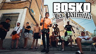 BOSKO - LA PALMILLA