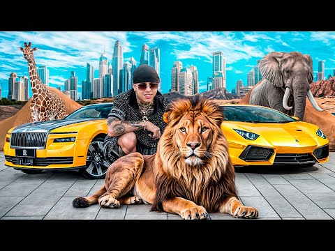 UN BILLONARIO EN DUBAI ME INVITA A SU ZOOLÓGICO PRIVADO | WESTCOL ASIA TOUR