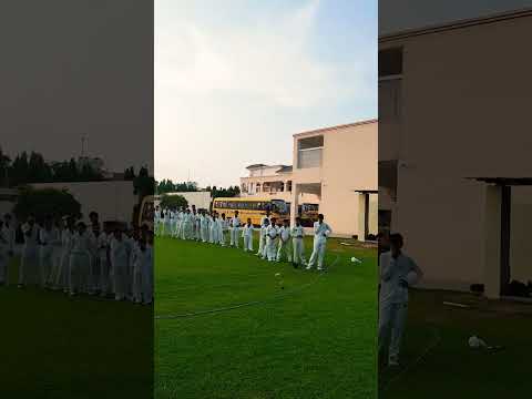 Boundary catches   Karnal haryana