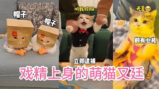 汉堡挺好吃的，帽子也够时尚，妈妈回来一定会夸我吧