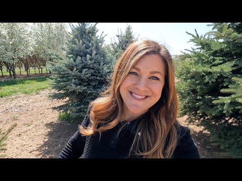 Visiting a Tree Farm & Other Plant Shopping!
