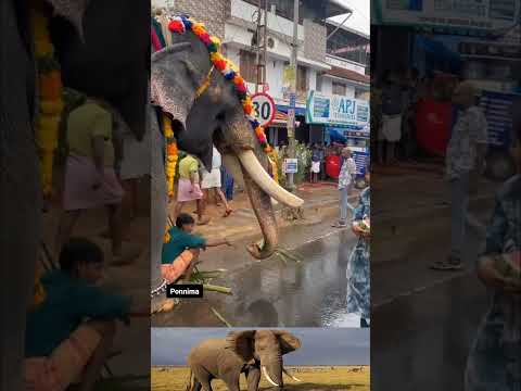 அக்கா மனசு சொக்க தங்கம் தர்பூசணி தராங்க காலைலயே 😂