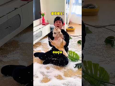 KEDİ Babamdan KAÇTI!