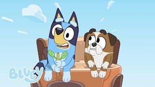 Diversión con los amigos de la escuela 💙 | Bluey Español Canal Oficial