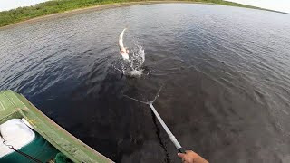 видео