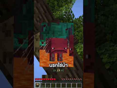 มายคราฟ แต่..เราจะเปลี่ยนร่างเป็น Mobs ทุกๆ 30 วินาที!! | Minecraft #shorts
