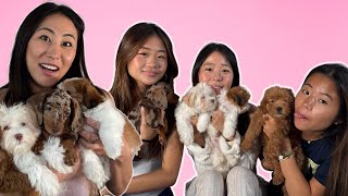 SURPRISING HA SISTERS WITH PUPPIES