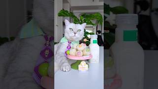The lychee harvest is abundant, and you can eat as much as you want. #catcookingfood #catofyoutube