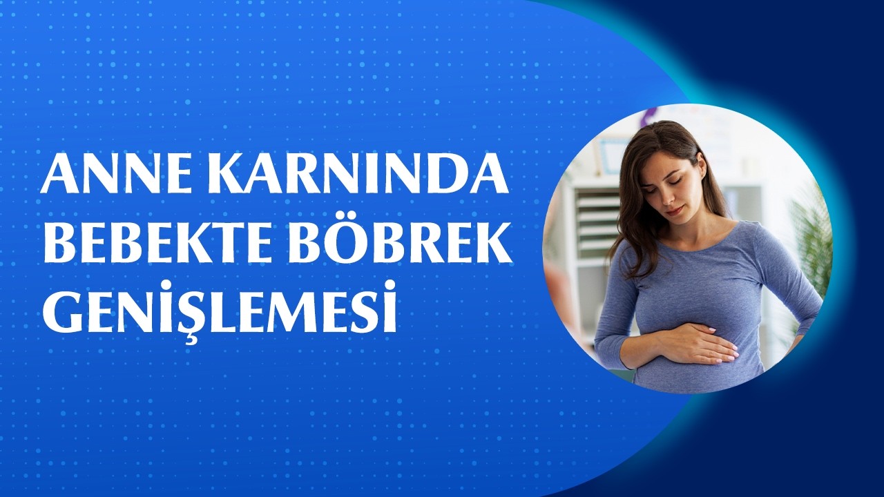 Anne Karnında Böbrek Genişlemesi Tehlikeli mi? Takip Süreci Nasıl Olur?