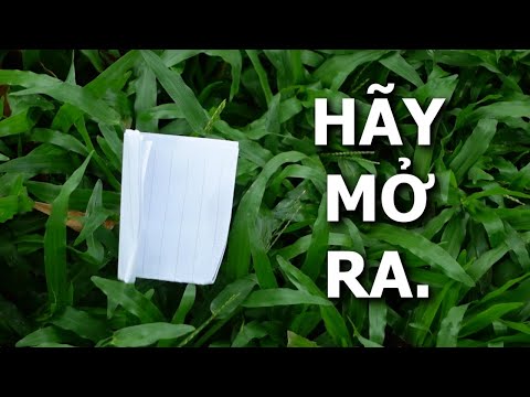 Video này sẽ tìm thấy bạn, khi bạn cần nó nhất