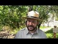 History of Cinco de Mayo and Columbia State Historic Park