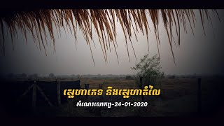 ស្នេហាភេទ និងស្នេហាតំលៃ