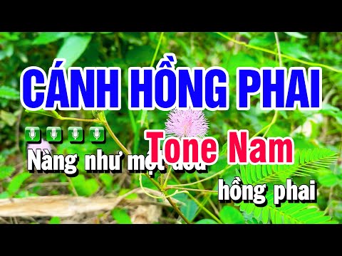 Karaoke Cánh Hồng Phai Nhạc Sống Tone Nam | Beat Huỳnh Anh