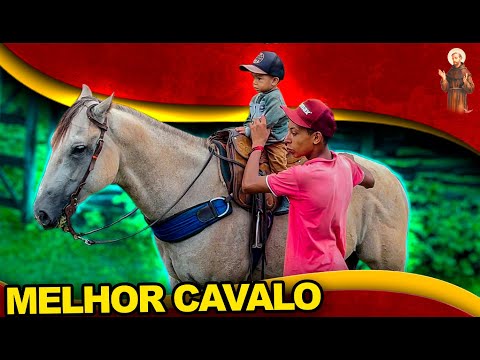 Vaqueirinho no melhor cavalo de Vaquejada