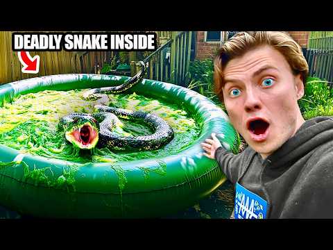 I Caught The Deadly Snake Attacking My Fish!