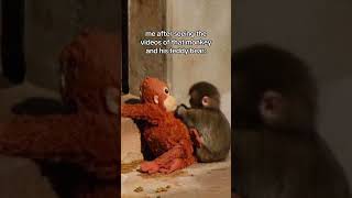 IM GONNA GO ADOPT HIM