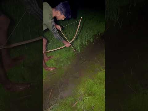 মাঠ থেকে তির ধনুক দিয়ে কতগুলো মাছ ধরলাম🐟😍(403) bengali village fishing video #fishingtechniques