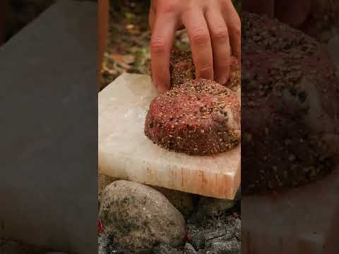 Forest Steak Cooking | Salt Block Grill with a Chameleon#asmr #cooking #food #outdoorcooking #chef