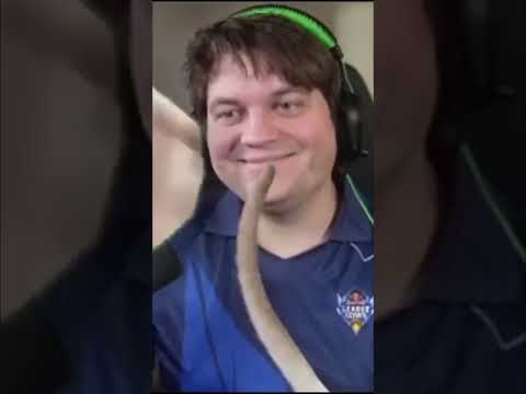 Nur Gamer mit Katzen verstehen das ๐บ๐