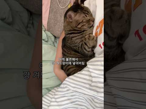 침대 위에서 자꾸 이러지 말라니까