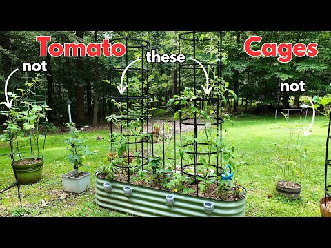 Best Tomato Cages for lots of Heavy Tomatoes