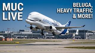 Live Planespotting Flughafen München EDDM/MUC 12.08.26 #live #livestream #aviation #planespotting