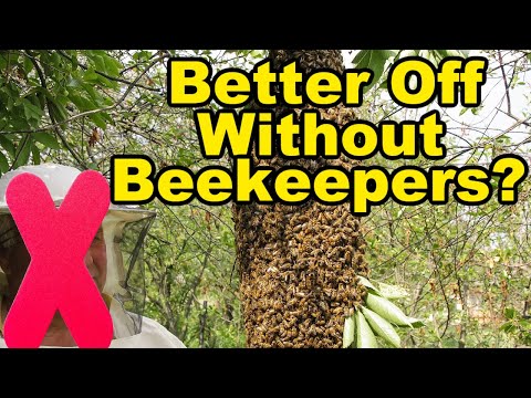 Beekeeping: Would Honey Bees Be Better Off Without Beekeepers?