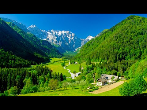 Пенал Селина Свит Меблив снято