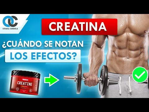 CREATINA ¿Cuándo se ven los resultados?