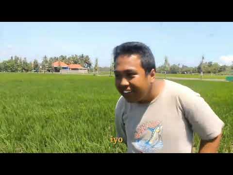 VIDEO KLIP KARYA SISWA SISWI SMK MUH MLATI 