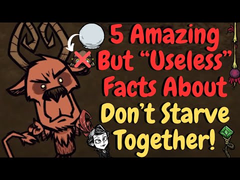 5 Hidden Tips & Tricks You Didn't Know For Don't Starve Together