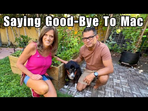 Mac’s Story-Pup to YouTube Star