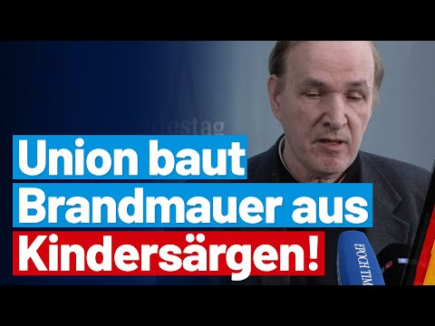 Gottfried Curio fordert die Union zum Handeln auf! - AfD-Fraktion im Bundestag