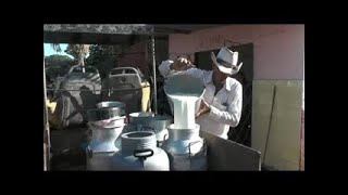 Acopian leche de calidad en Cooperativa Patricio Lubumba de Aguada de Pasajeros
