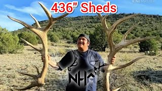 finding 430" elk sheds on the San Csrlos