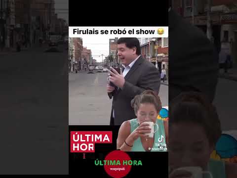 Firulais hace  de las suyas ??