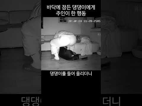 바닥에 잠든 댕댕이에게 주인이 한 행동