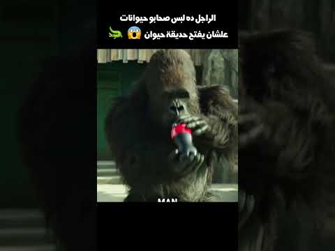 الراجل ده لبس صحابو حيوانات علشان يفتح حديقة حيوان😱🐊#shorts