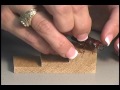 Insect Pinning Techniques and Tools