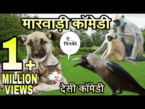 देसी जानवरों की मारवाड़ी काॅमेडी । Desi Animals un with singh