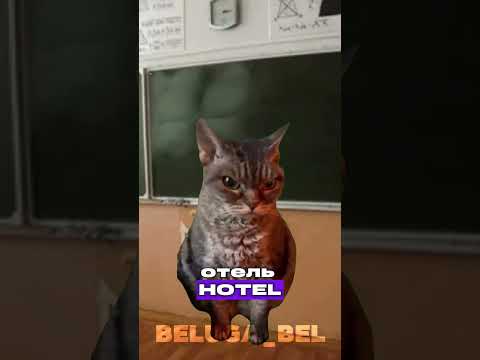 Сделано ремейк(; #рек #рекомендации #пжактив #кот #котики #мем #мемы #shorts #cat #memes #meme #fypシ