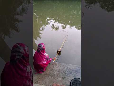 Big fish #hook_fishing #shorts