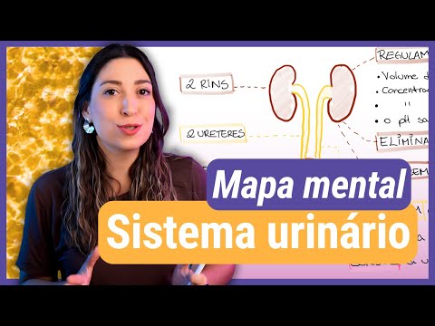 Faça um MAPA MENTAL junto comigo! SISTEMA URINÁRIO