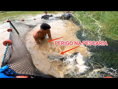 TODO CUIDADO É POUCO QUANDO VOCÊ FOR PESCAR ESSE PEIXE! mordida violenta ele tem.