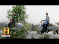 Alligator Capture and Community Lessons
